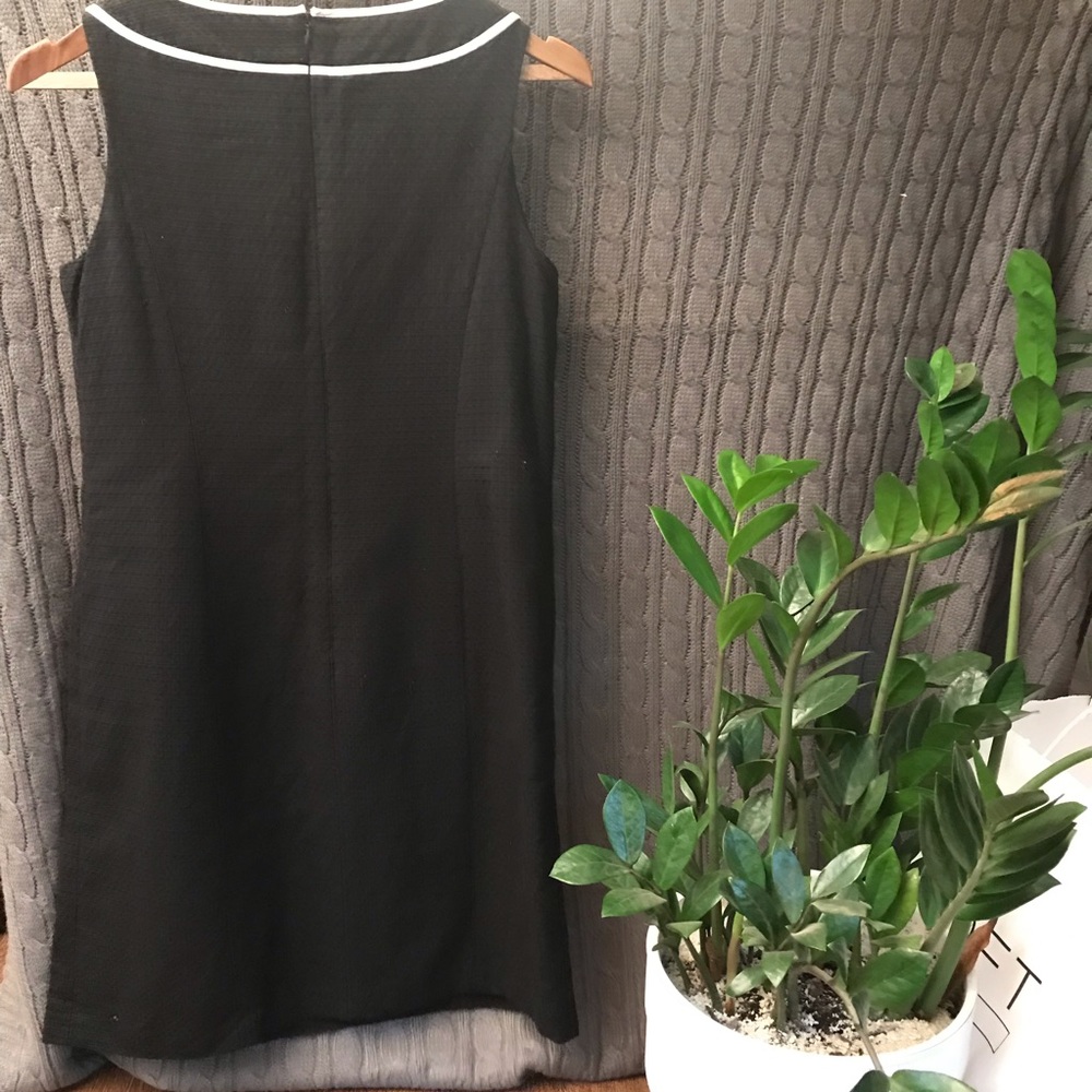 Anne Taylor Loft Black and White Shift Dress - Picture 2 of 3